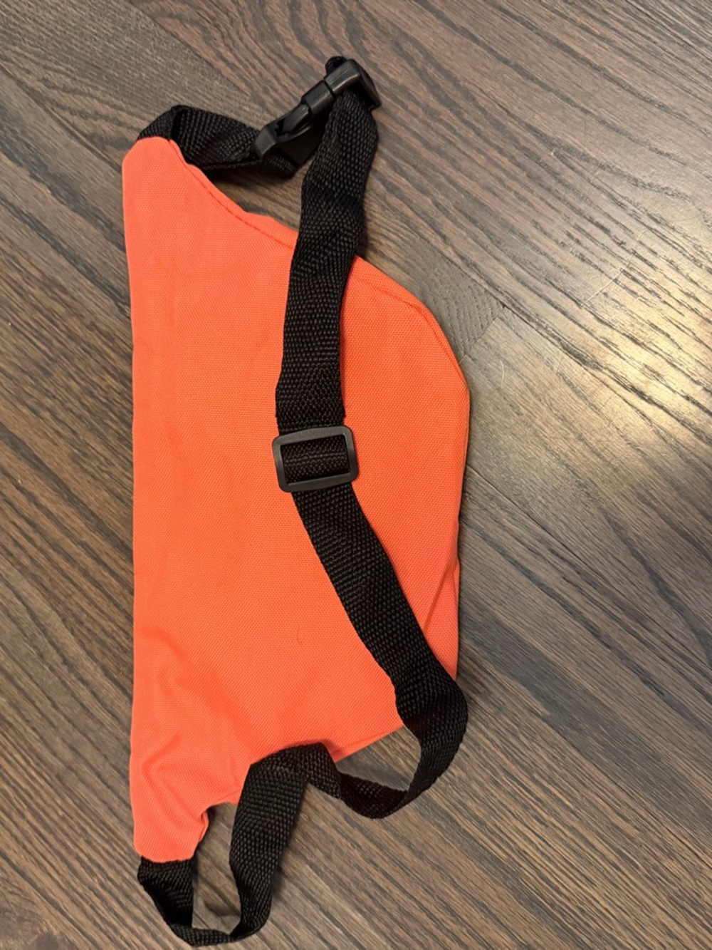 Fanny Pack - Picture 2 of 2
